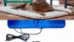 Heated Dog Beds To Keep your Best Friend Toasty Warm