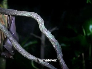 Night Safari Halloween Horrors ghost story (Hokkien)