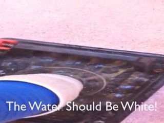 Pet Urine Odor Removal Portland OR & Vancouver WA