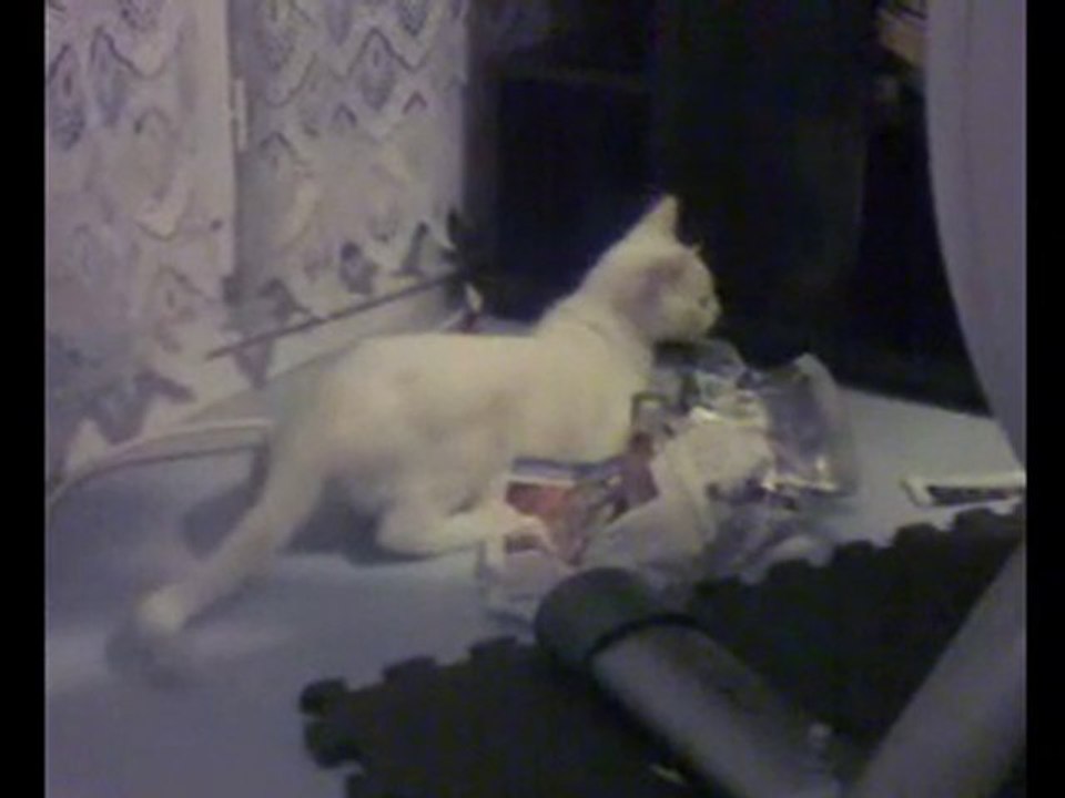 Y a quoi ce soir à la télé ?