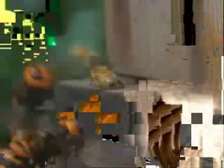 KATİL ARILAR-JAPON EŞEK ARILARI