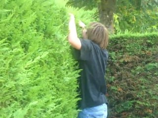 Souviens - toi !! - Bande Annonce