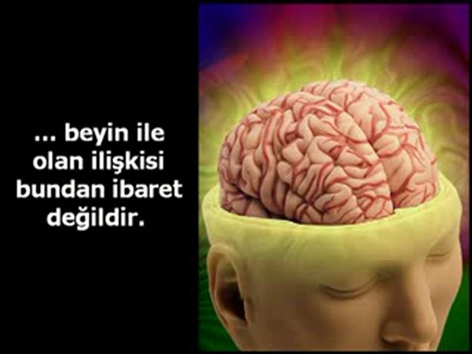 Ceviz ve beynimiz