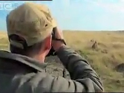 Genç Aslan Sürüsü ve Kral Kobra