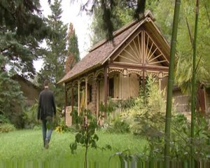 Fibres de bambou (2)