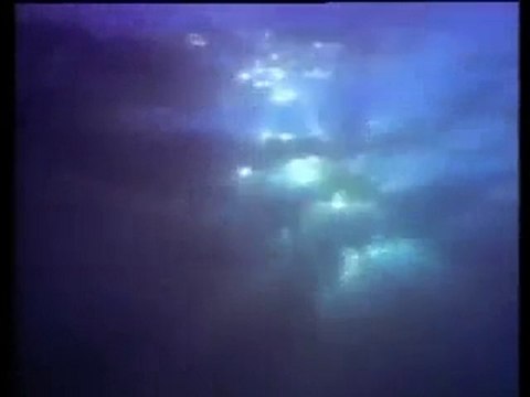 Okyanus Gezginleri 2-4