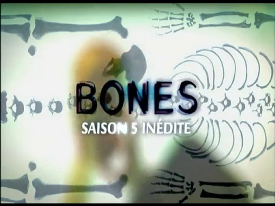 Les séries de M6 de la saison 2010 2011