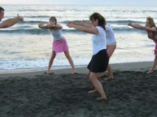 Zhi Neng Qi Gong Retreat - Seminar 2010