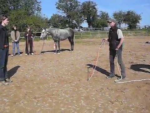 Cours Parelli du 11sept