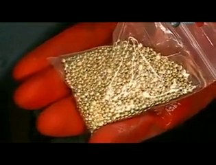 Sahte Balık Yemi Yapımı