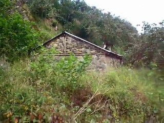 EMEKSAN YAZLIK KÖYÜ DEĞİRMENİ VE DERESİ