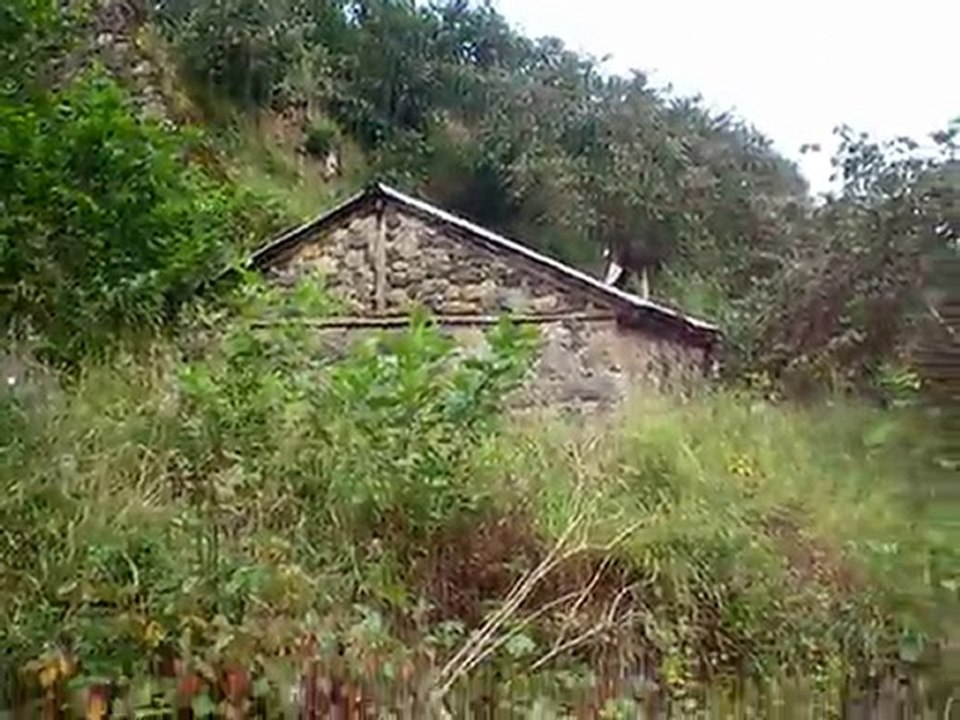 EMEKSAN YAZLIK KÖYÜ DEĞİRMENİ VE DERESİ