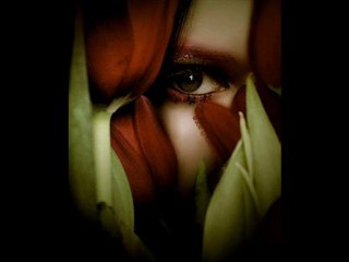 yansımalar -pervane