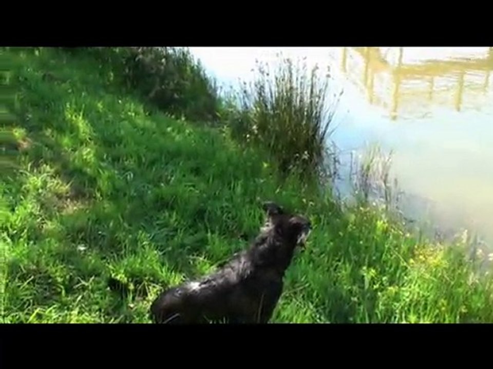 Beaucerons en randonnée au Lac de Pradelles Cabardes - Aude