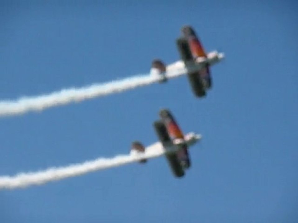 StuntPilots