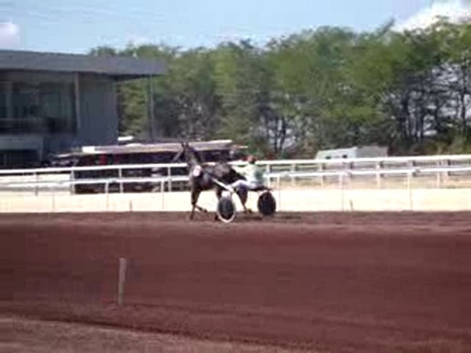 Sem Des gachères le 12/09/10 à Lyon La Soie entrée en piste