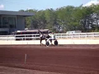 Sem Des gachères le 12/09/10 à Lyon La Soie entrée en piste