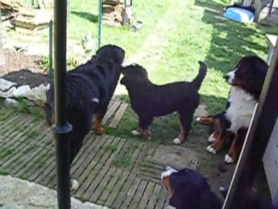 les boubou le 12 septembre 2010