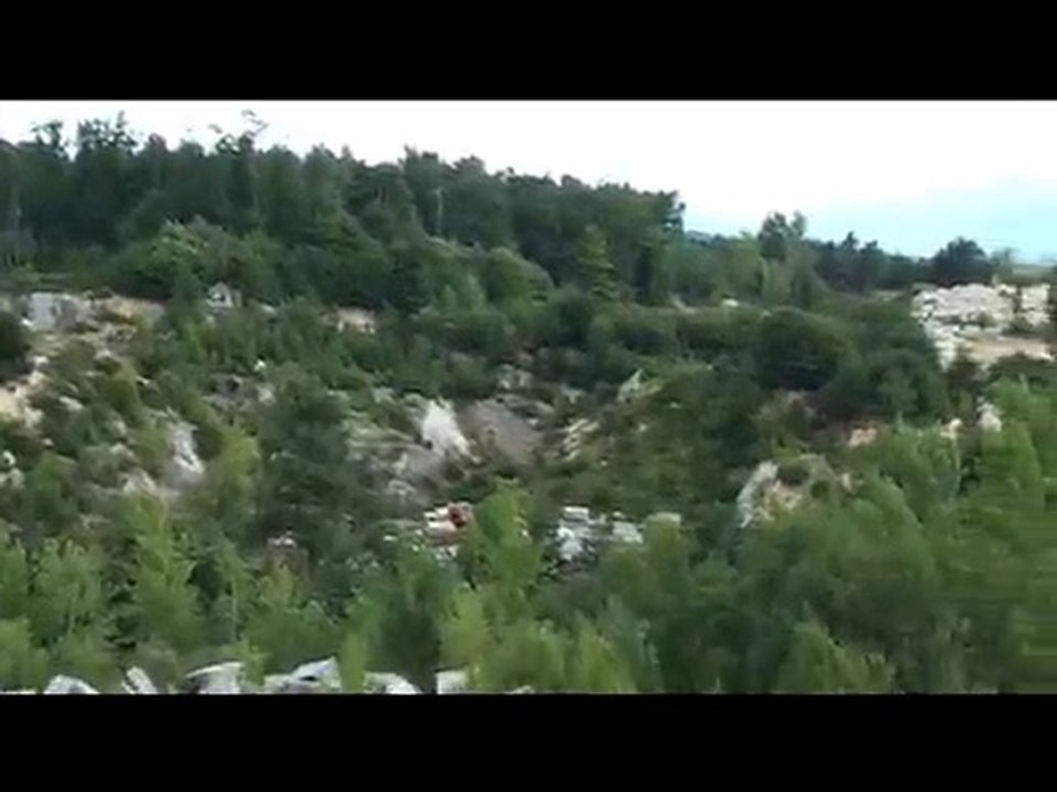 Elevage des Ecuries Cathares : Plongeons du beauceron Delta