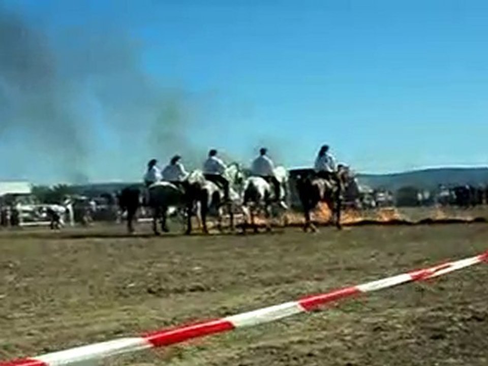 fete paysanne et traction animale villelaure 2010