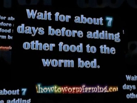 Organic Gardening Getting Started by Making A Worm Bed