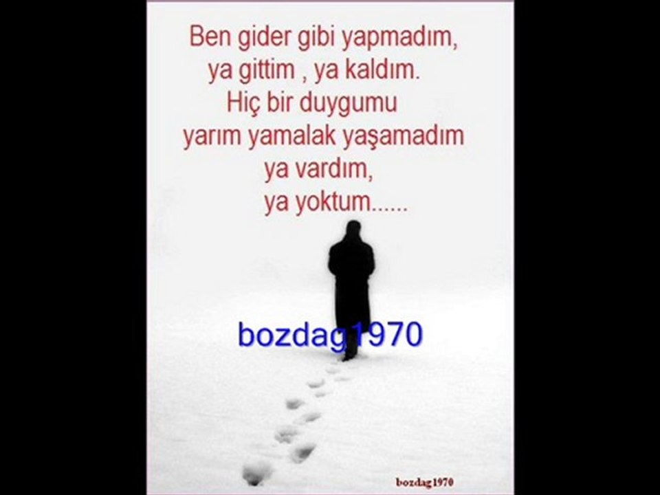 yıldız tilbe - kır çiçekleri getirdin karlı ömrüme