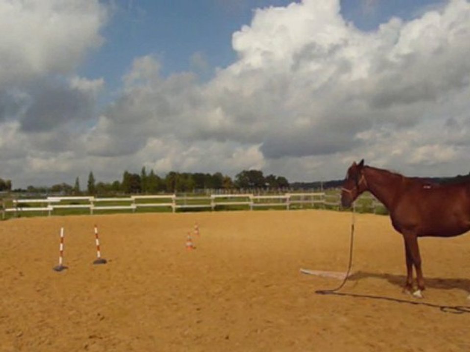 Séance à pied_ 12 septembre  2010 (Partie 1)