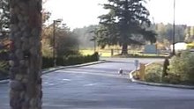 Tyson Skating