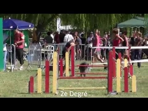 Buck Agility Mouriès 12/09/10