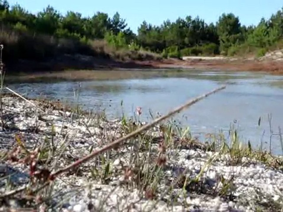 allez un peu plus d'eau traversé de la marre