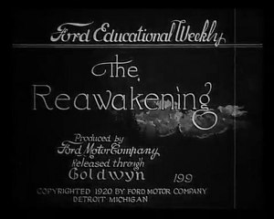 The Reawakening (1919)