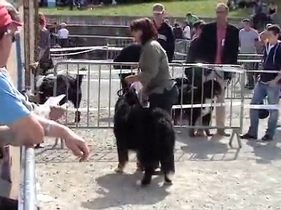 Djazz - Saint Gervais d'auvergne 2010 - COM