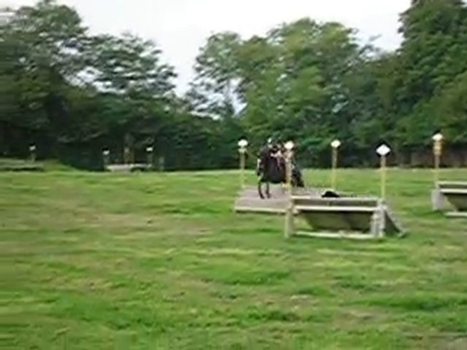 P9121158