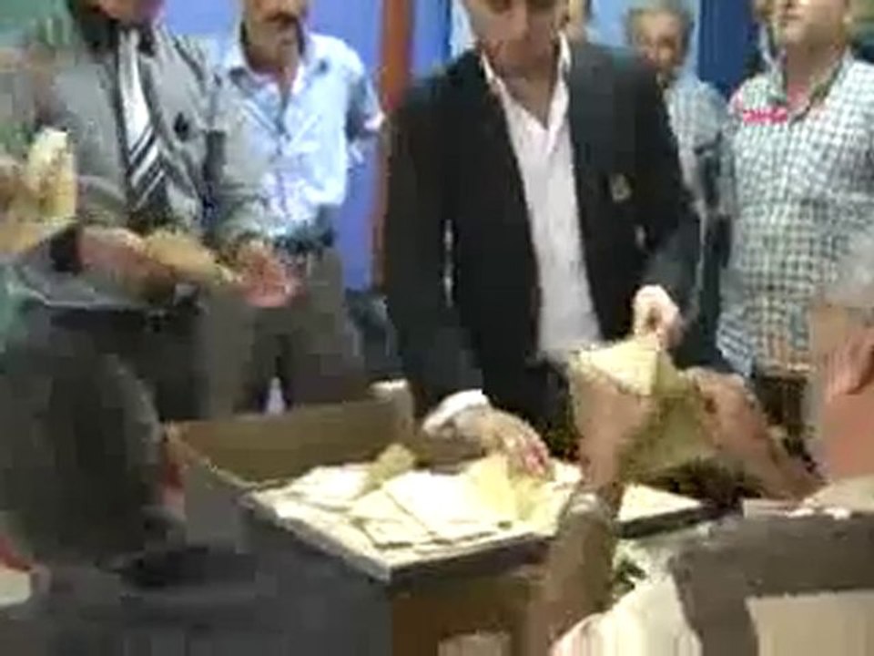 Oy Zarfindan Ot Çikti