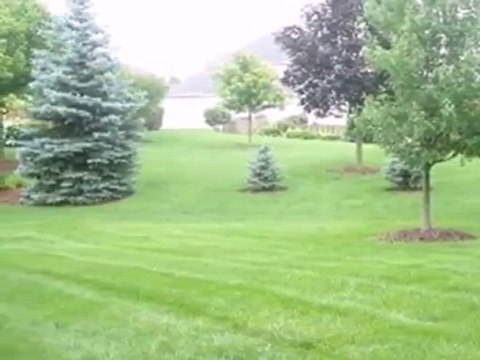 Homes for Sale - 2520 High Meadow Rd - Naperville, IL 60564