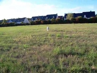 Petite séance de rappel