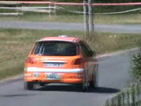 Pascal REY /Sebastien Larçabal 206 RC N3