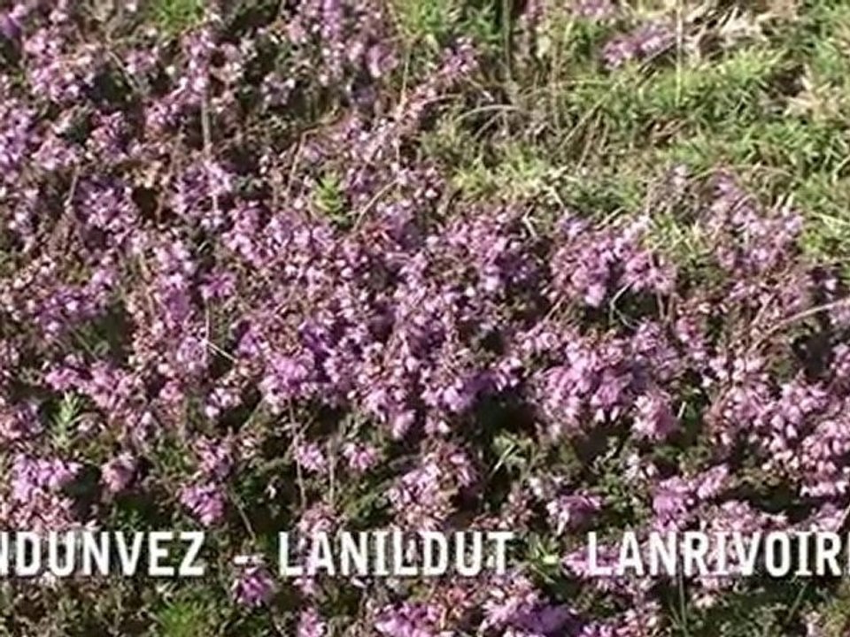 Bienvenue sur Iroise-tv.fr