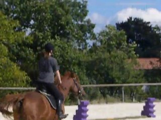 12/09/2010 - Fête du cheval