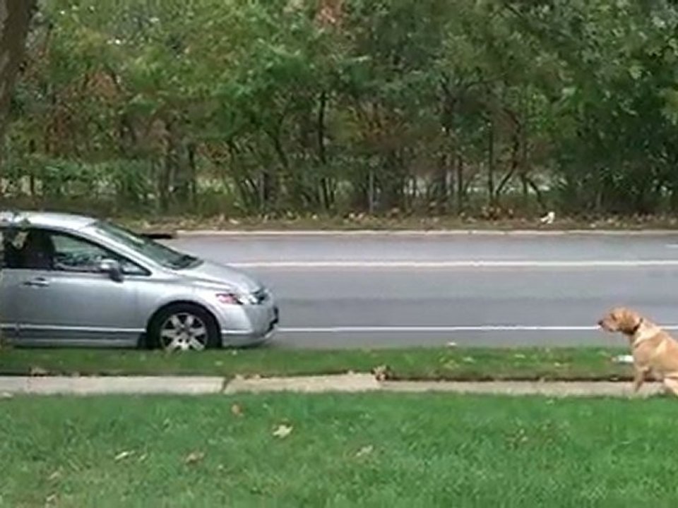 Niko Heeling Backwards