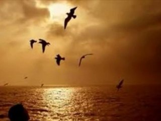 ABBAS TURAN-İYİ Kİ SENDE KALMIŞ YARISI KALBİMİN