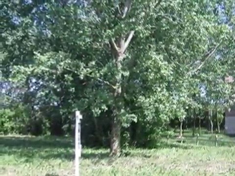 Homes for Sale - 12 Normandee Ct - Burr Ridge, IL 60527 - Co