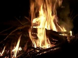 やんばるの白ひげ ～核の傘の下で～(3)