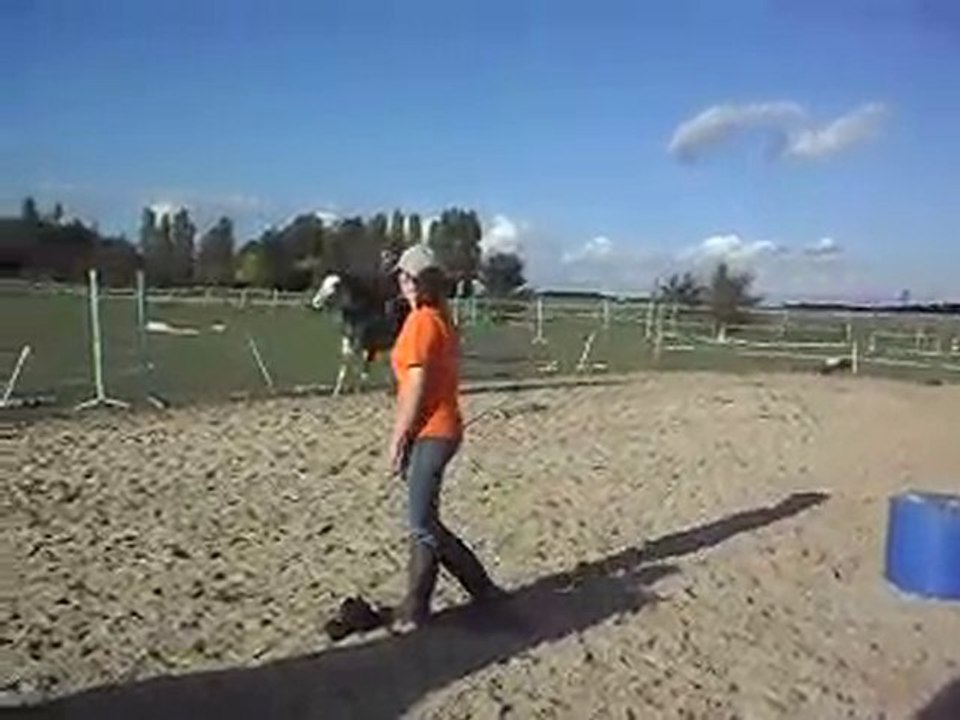 REPRISE DU TRAVAIL DES PONEYS ET DES CHVAUX.Poney club.