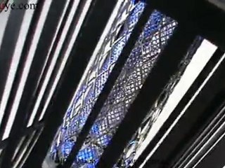 Solar Mosquito Bug Killer with LED Lights