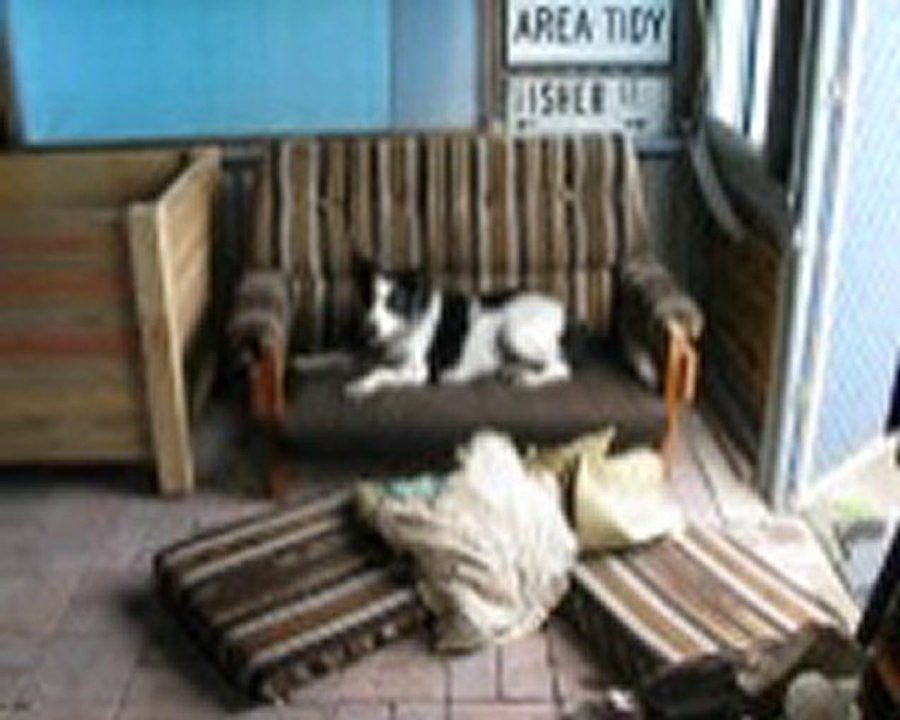 Summa-13th Sept-2010