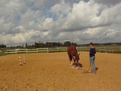 Séance à pied_ 12 septembre 2010 (Partie 2)