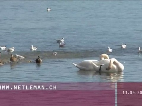 VUES SUR L'ACTU du 13 septembre 2010