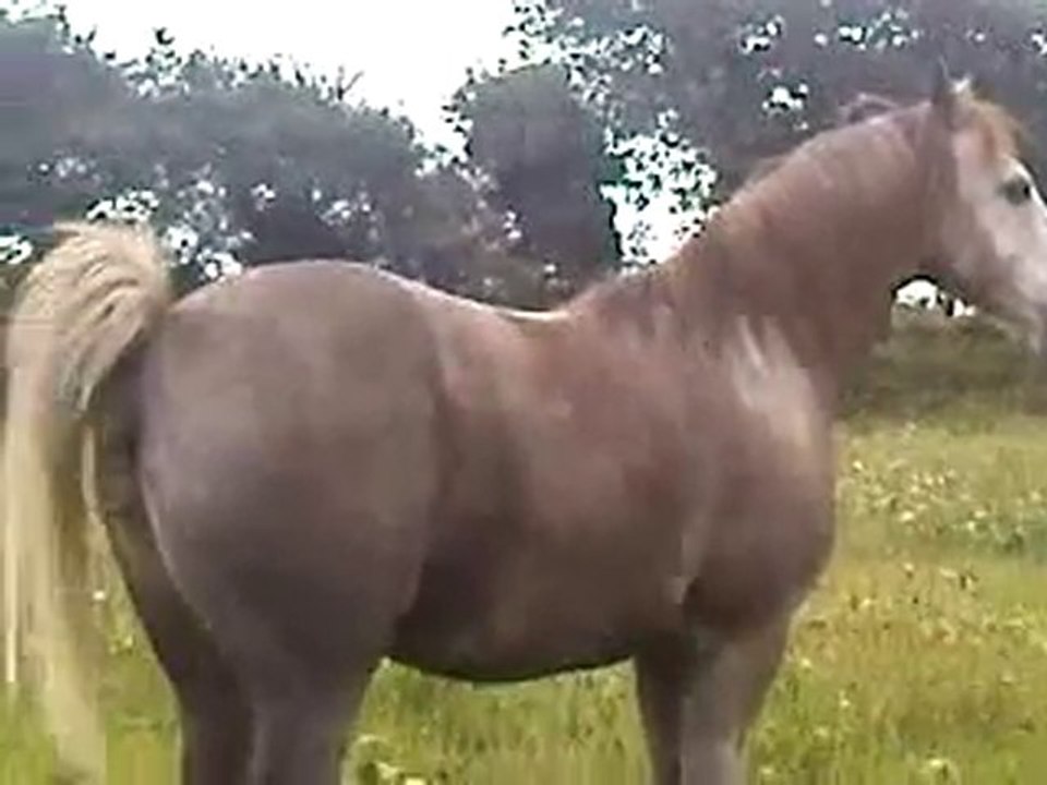 V110910_15.28