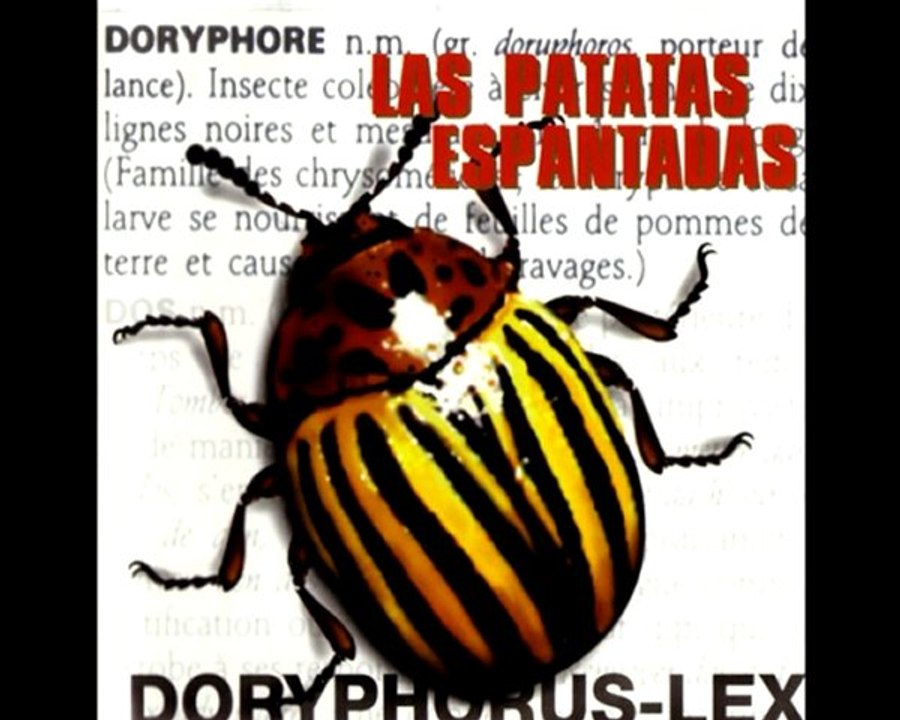 Las Patatas Espantadas : A la X rousse